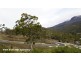 13 Judith Drive, Lenah Valley TAS 7008