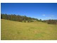 85 Gums Road, Mountain River TAS 7109