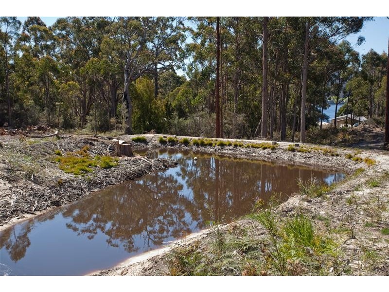 241 Esperance Coast Road, Surges Bay TAS 7116