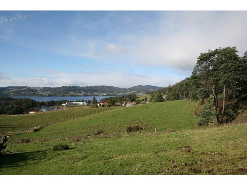 Lot 7 Triffets Lane, Castle Forbes Bay TAS 7116