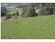 Lot 7 Triffets Lane, Castle Forbes Bay TAS 7116