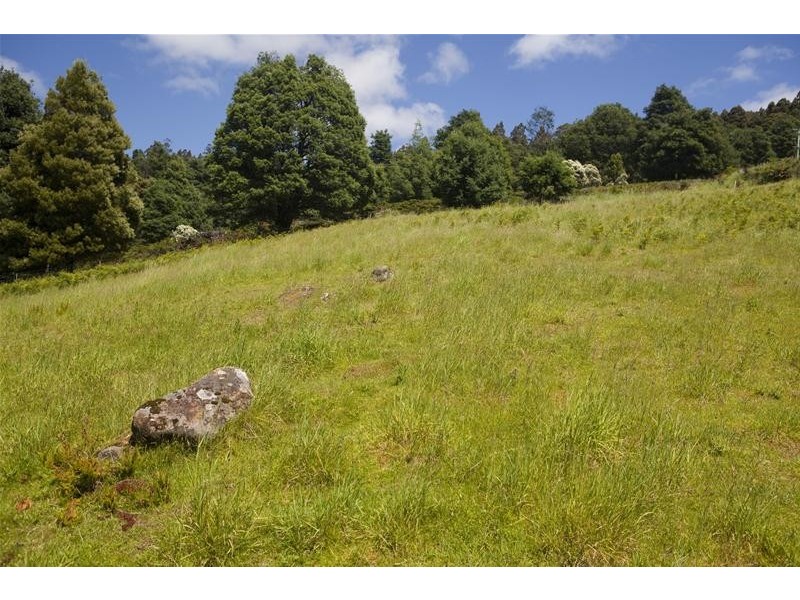 1 Swamp Road, Franklin TAS 7113