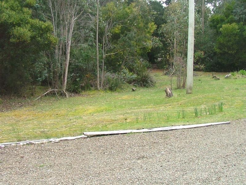 375 Randalls Bay Road, Randalls Bay TAS 7112