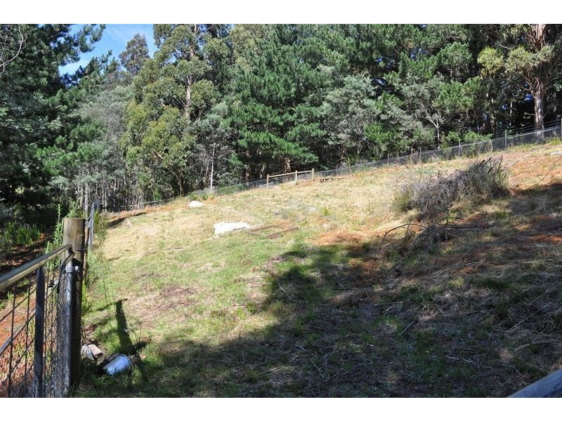 19 Hills Road, Franklin TAS 7113