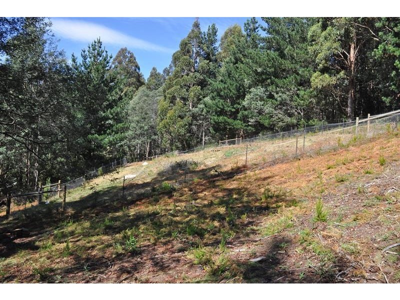 19 Hills Road, Franklin TAS 7113