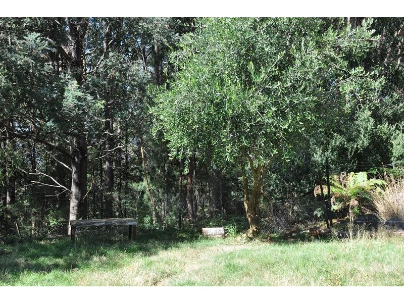 19 Hills Road, Franklin TAS 7113