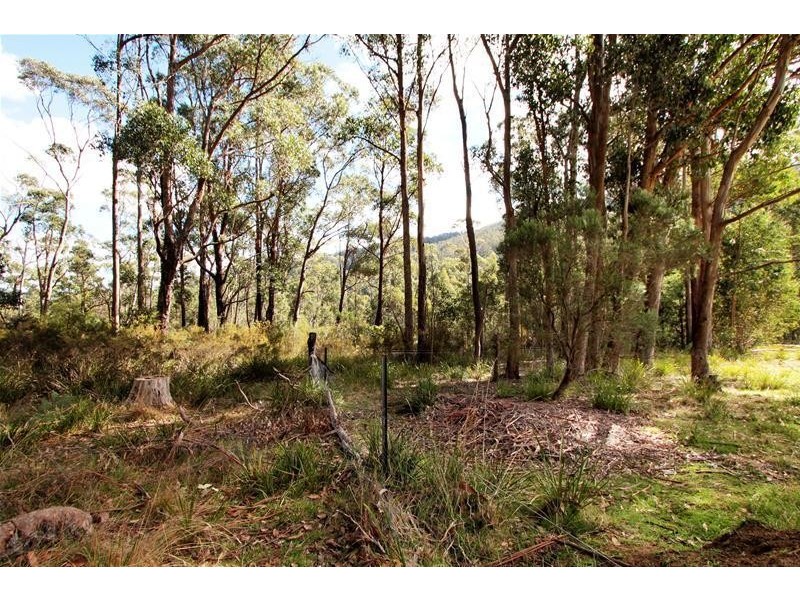 1 Joes Road, Nicholls Rivulet TAS 7112