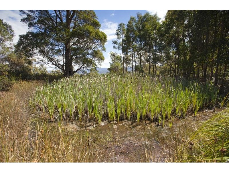 1 Gums Road, Mountain River TAS 7109