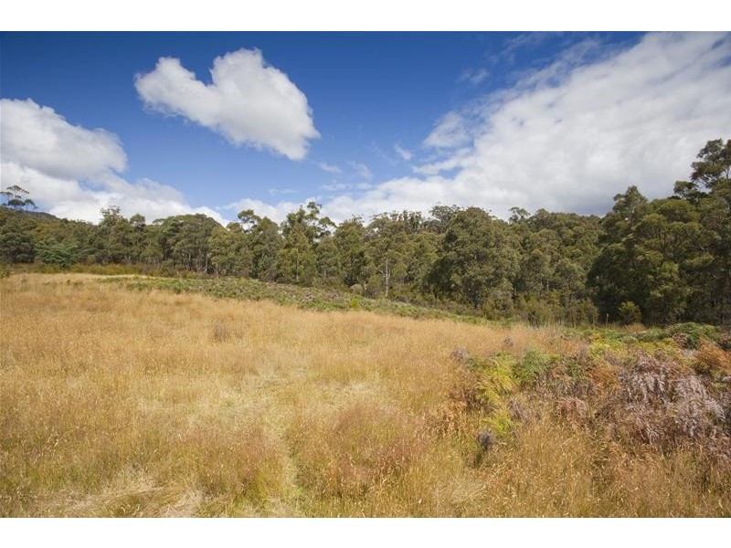 1 Gums Road, Mountain River TAS 7109