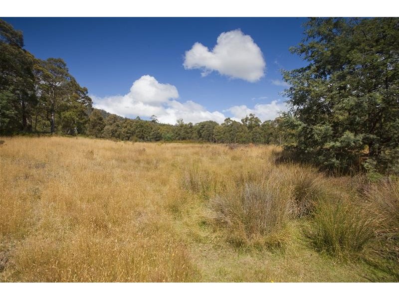1 Gums Road, Mountain River TAS 7109