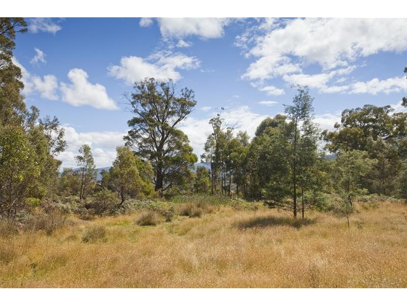 1 Gums Road, Mountain River TAS 7109