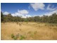 1 Gums Road, Mountain River TAS 7109