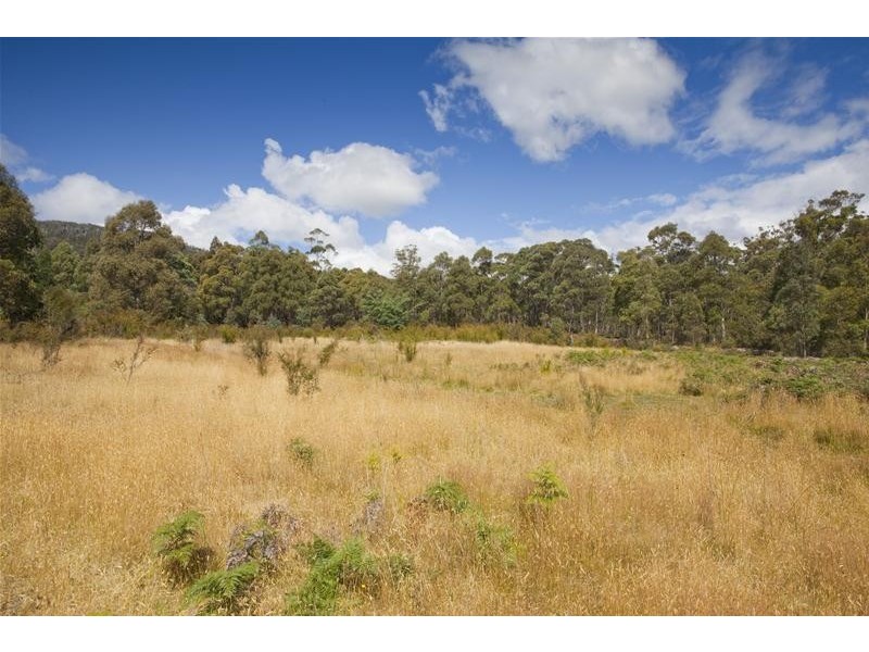 1 Gums Road, Mountain River TAS 7109