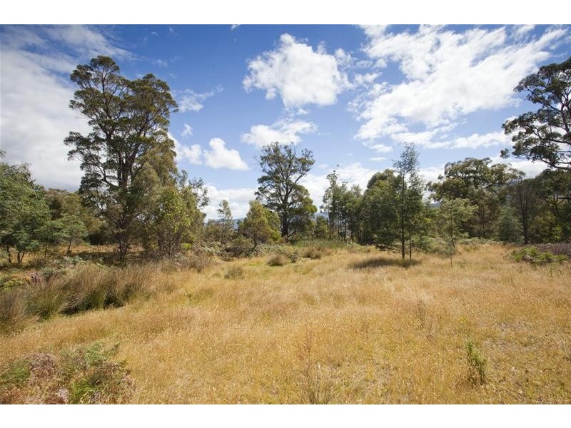 1 Gums Road, Mountain River TAS 7109