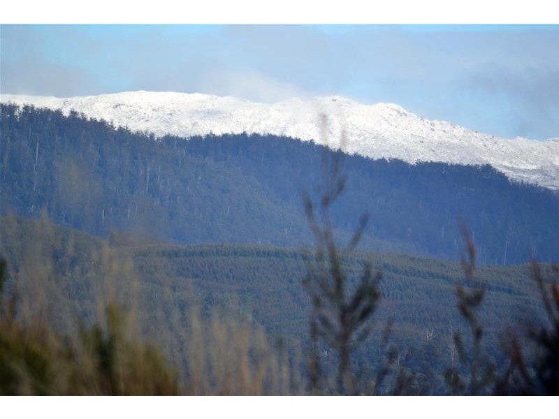 902B Cygnet Coast Road, Wattle Grove TAS 7109