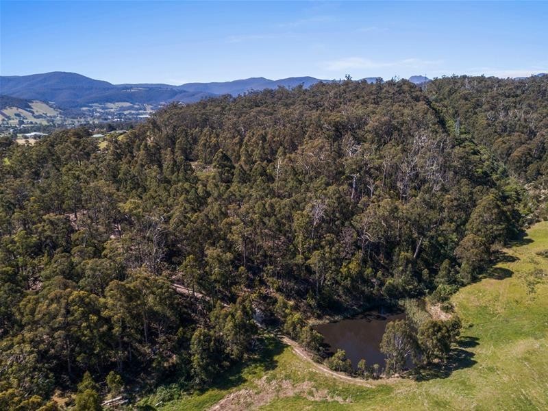 50 Snowy View Heights, Huonville TAS 7109