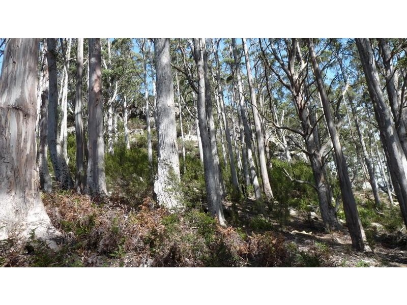 453 Woodbridge Hill Road, Gardners Bay TAS 7112