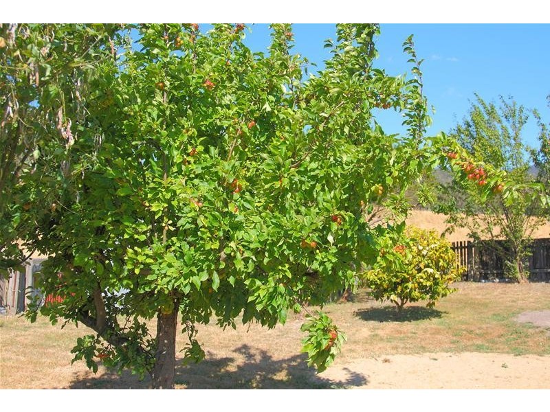 44 Dowlings Road, Huonville TAS 7109