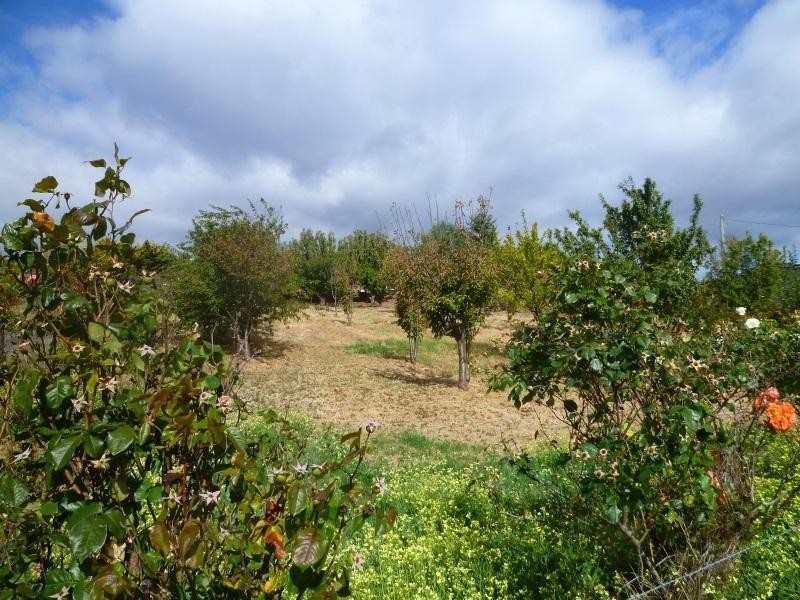 7577 Channel Highway, Cygnet TAS 7112