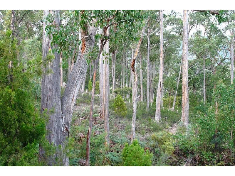 58 Conlans Road, Huonville TAS 7109