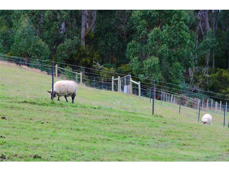 58 Conlans Road, Huonville TAS 7109