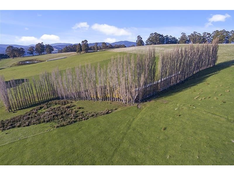 30 Walkers Road, Franklin TAS 7113