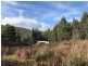 357 Donnellys Road, Geeveston TAS 7116