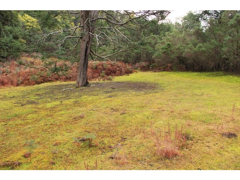 357 Donnellys Road, Geeveston TAS 7116