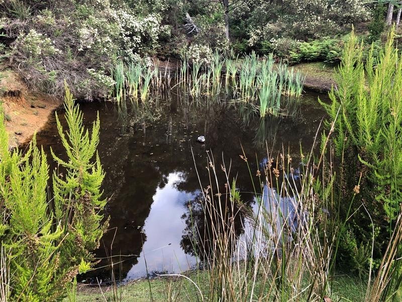 357 Donnellys Road, Geeveston TAS 7116