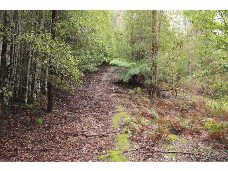 357 Donnellys Road, Geeveston TAS 7116