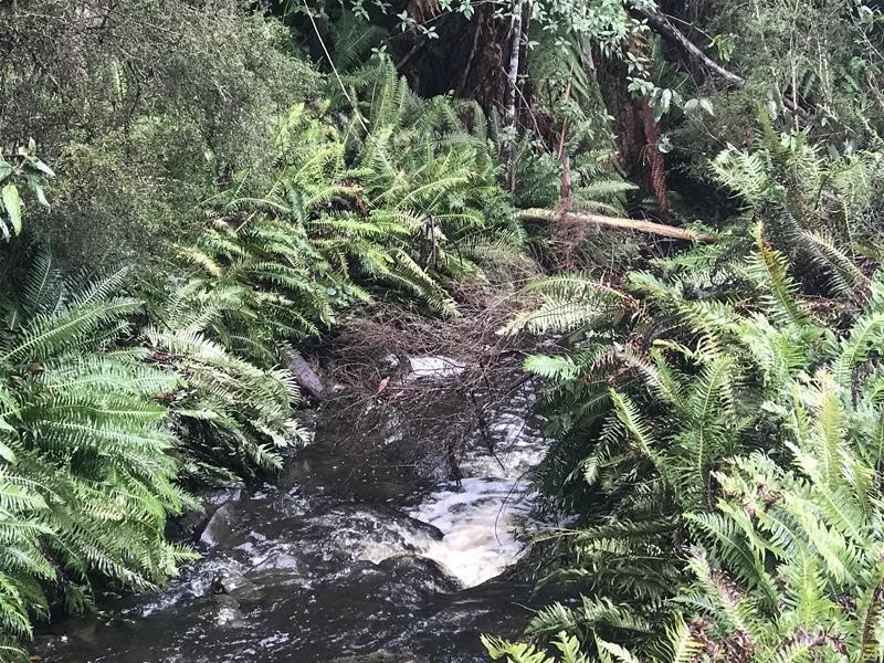 357 Donnellys Road, Geeveston TAS 7116