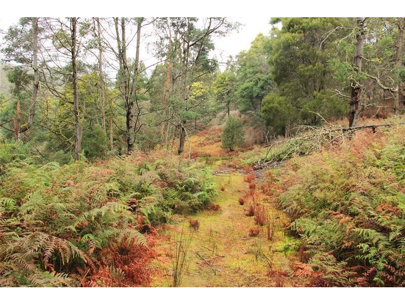 357 Donnellys Road, Geeveston TAS 7116