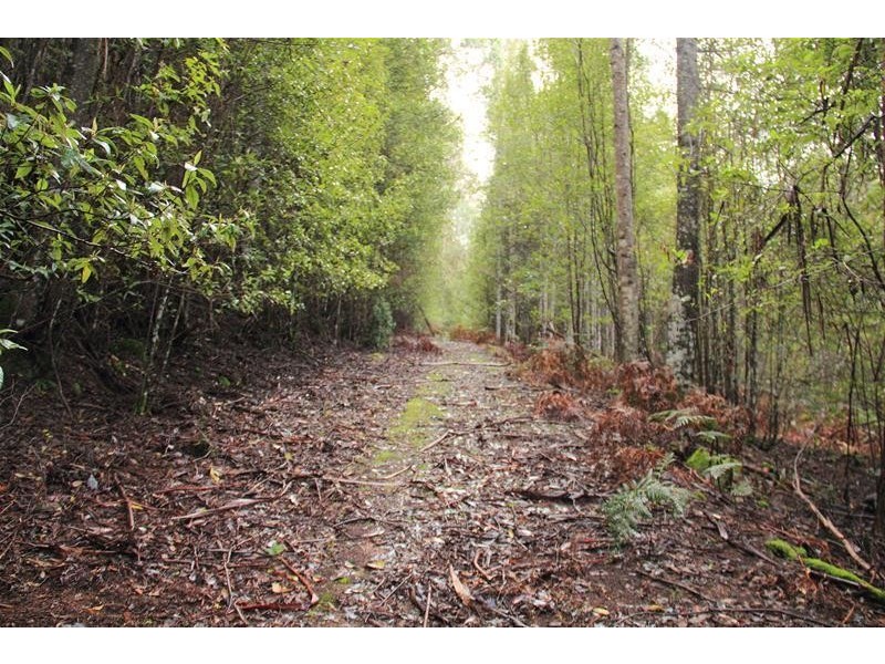 357 Donnellys Road, Geeveston TAS 7116