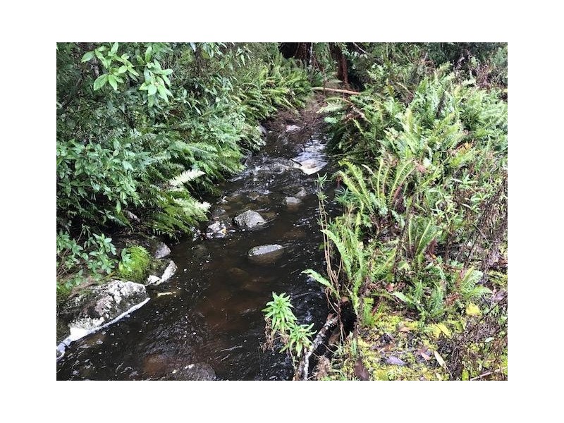 357 Donnellys Road, Geeveston TAS 7116