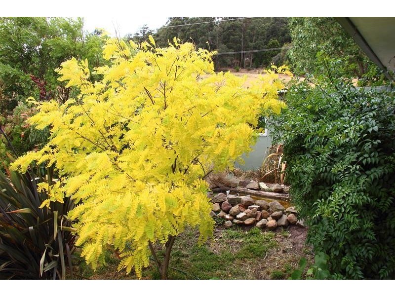 93 Sunday Hill Road, Petcheys Bay TAS 7109