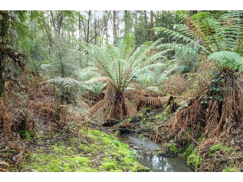 271 Cross Road, Gardners Bay TAS 7112