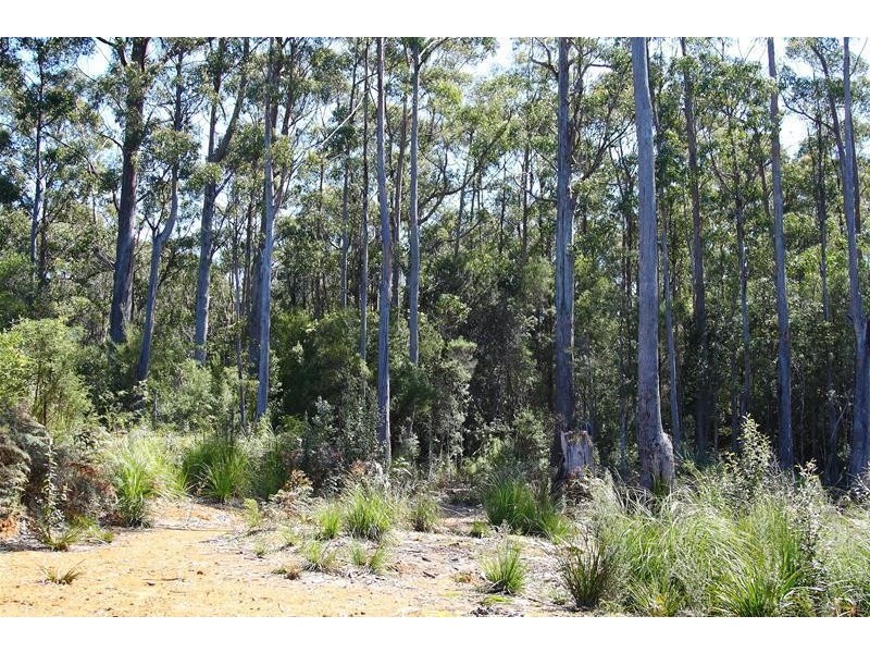 302 Cockle Creek Road, Recherche TAS 7109