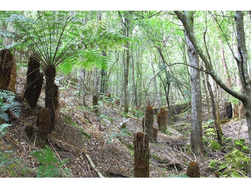 204 Ayres Road, Ranelagh TAS 7109