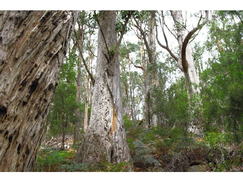 204 Ayres Road, Ranelagh TAS 7109