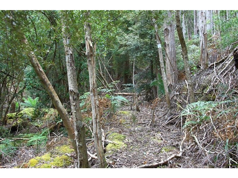 204 Ayres Road, Ranelagh TAS 7109