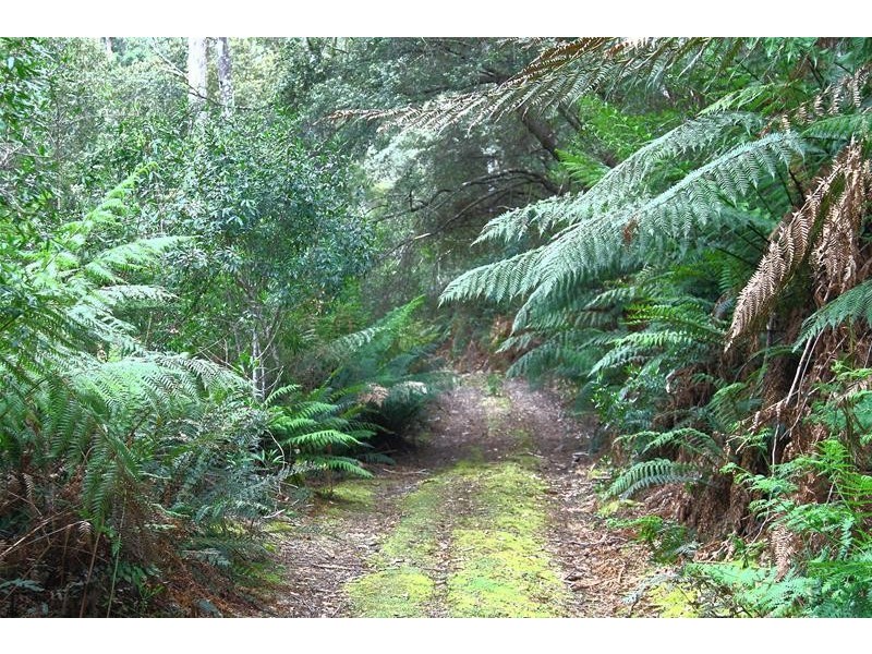 204 Ayres Road, Ranelagh TAS 7109