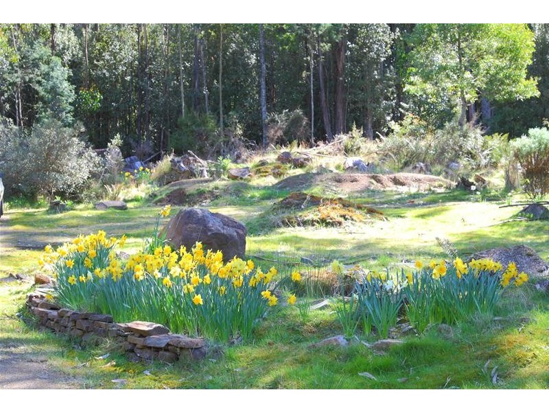 210 Morrisons Road, Franklin TAS 7113