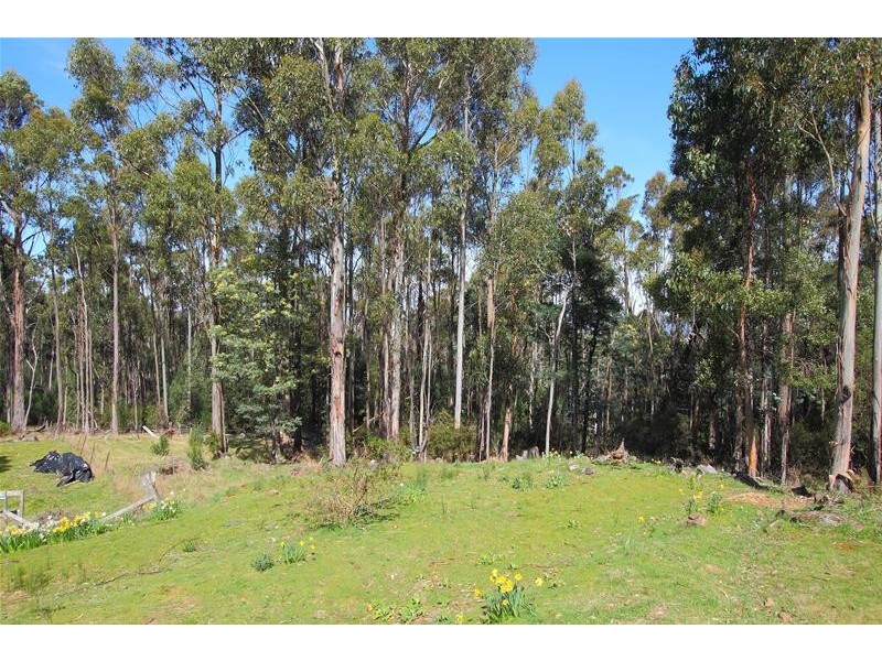 210 Morrisons Road, Franklin TAS 7113