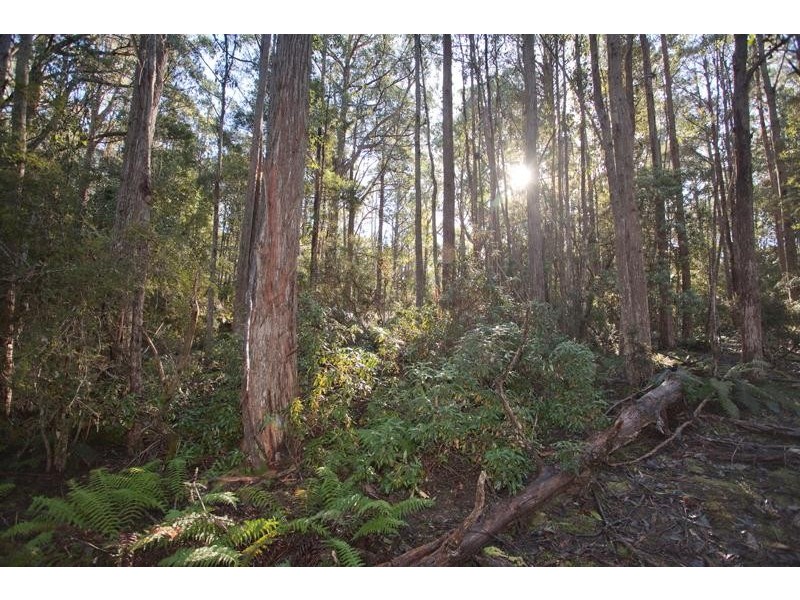 210 Morrisons Road, Franklin TAS 7113