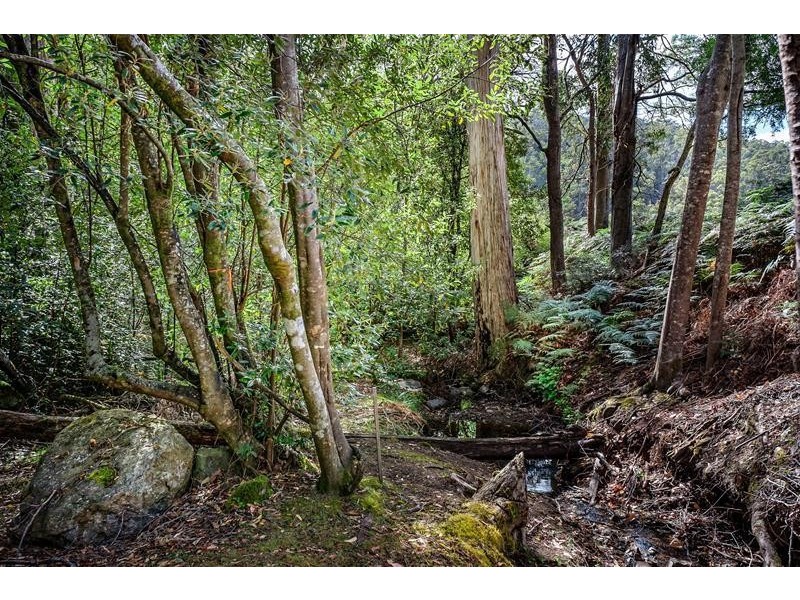 122 Waggs Gully Road, Ranelagh TAS 7109