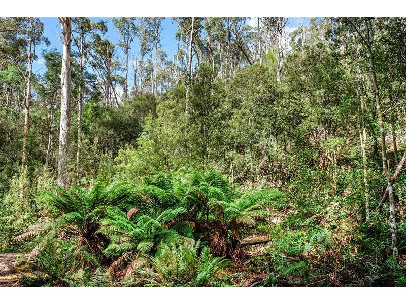 122 Waggs Gully Road, Ranelagh TAS 7109