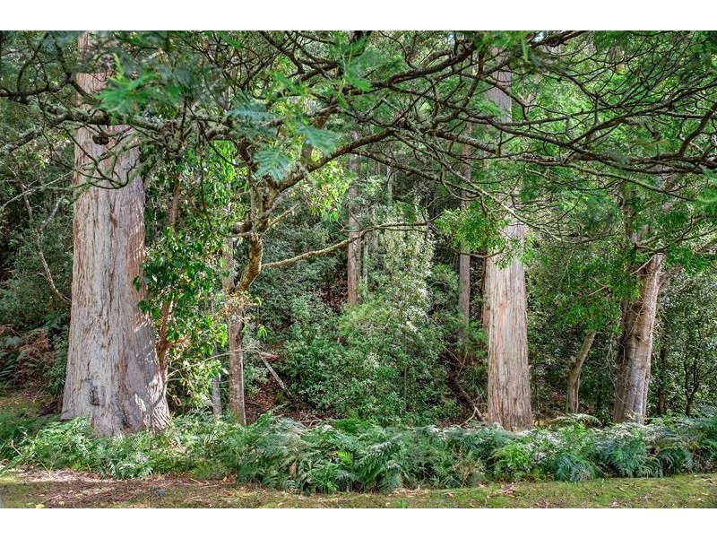 122 Waggs Gully Road, Ranelagh TAS 7109