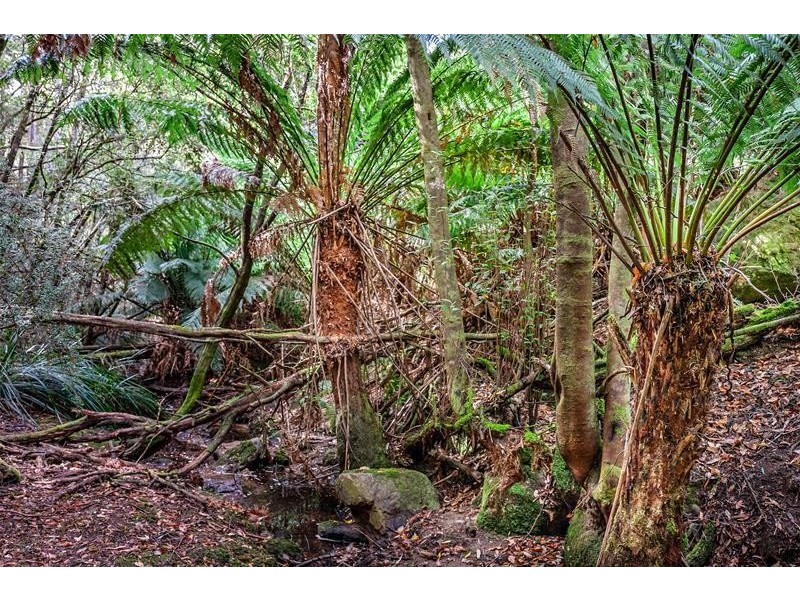 122 Waggs Gully Road, Ranelagh TAS 7109