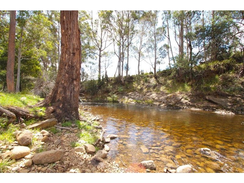 1140 Lonnavale Road, Lonnavale TAS 7109