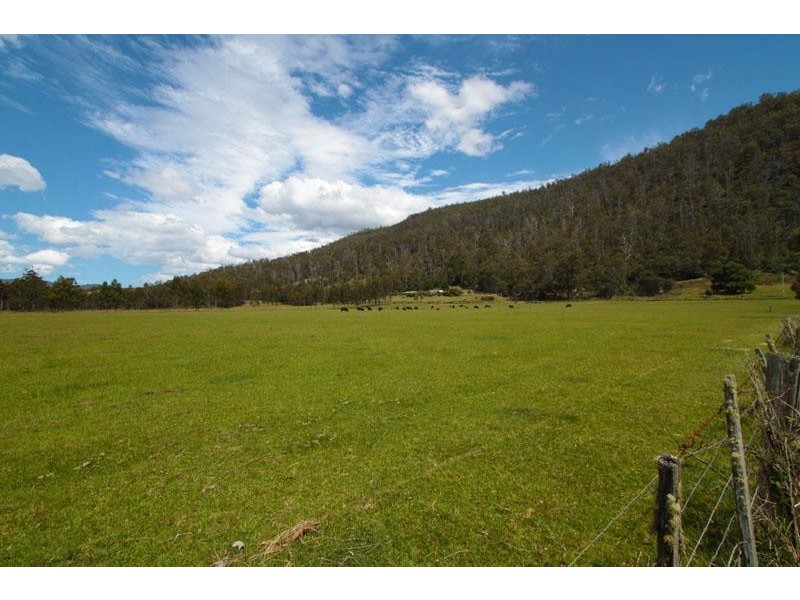 1140 Lonnavale Road, Lonnavale TAS 7109